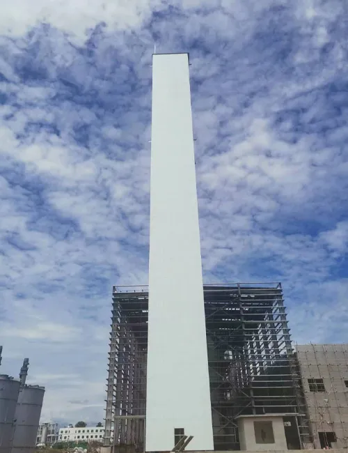 yanmei-8